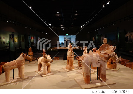 かみつけの里博物館 135662079