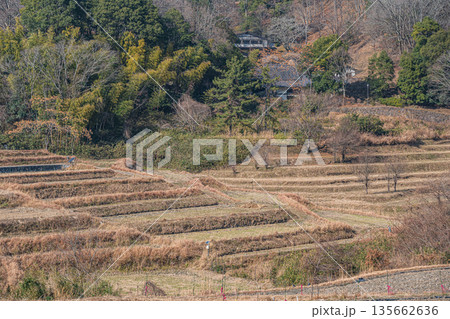明日香村稲渕の棚田冬景色 日本の棚田百選 奈良県 明日香村稲渕の棚田冬景色 日本の棚田百選 奈良県 135662636