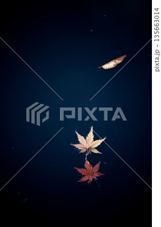日本の美、晩秋の紅葉 135663014