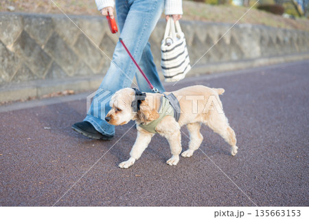 散歩する犬 散歩する犬 135663153