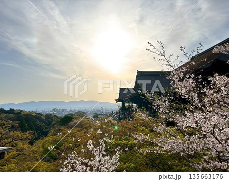清水寺 清水寺 135663176