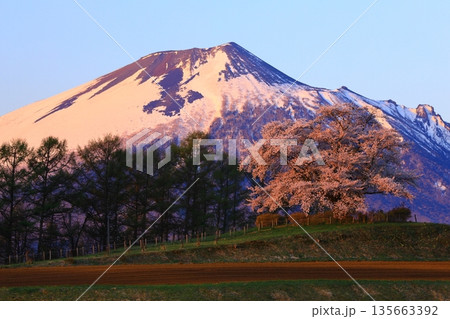 桜のある風景 桜のある風景 135663392