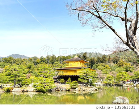 金閣寺 金閣寺 135663533