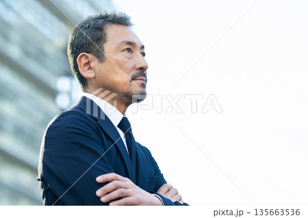 街を歩くビジネスマン 街を歩くビジネスマン 135663536