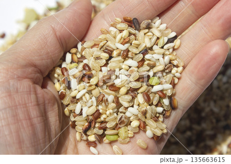 Hands and grains of grain. Hands and grains of grain. 135663615
