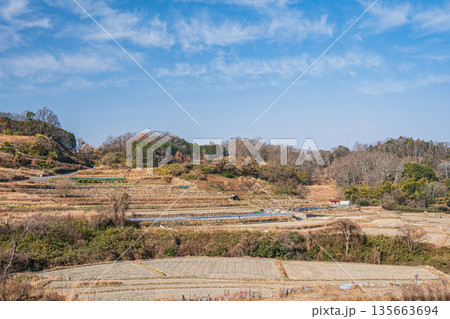 明日香村稲渕の棚田冬景色　日本の棚田百選　奈良県 135663694