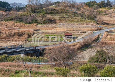 明日香村稲渕の棚田冬景色　日本の棚田百選　奈良県 135663701