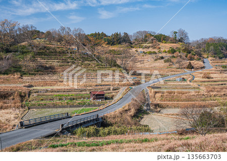 明日香村稲渕の棚田冬景色　日本の棚田百選　奈良県 135663703
