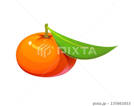 Chinese lunar New Year icon of tangerine or mandarin orange for Asian holiday, vector symbol. Chinese Lunar New Year or Chinatown festival traditional fruit for wealth and prosperity symbol in China 135663853