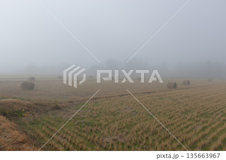 霧の中の麦稈ロール　収穫後の畑に置かれているかわいい麦わらロール 135663967