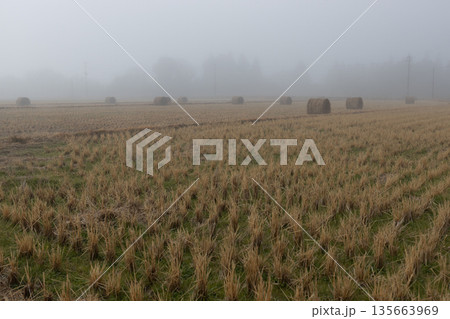 霧の中の麦稈ロール　収穫後の畑に置かれているかわいい麦わらロール 135663969