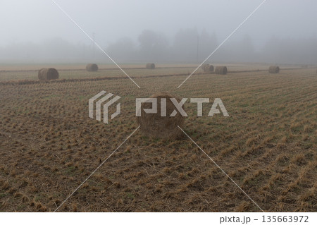 霧の中の麦稈ロール 収穫後の畑に置かれているかわいい麦わらロール 霧の中の麦稈ロール 収穫後の畑に置かれているかわいい麦わらロール 135663972