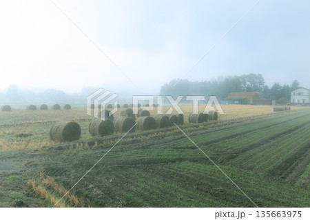 霧の中の麦稈ロール　収穫後の畑に置かれているかわいい麦わらロール 135663975