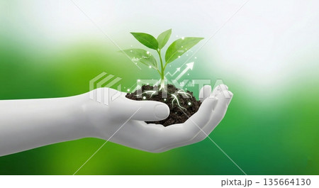 土のついた新芽を両手で大切に包み込むエコロジーなイメージ 土のついた新芽を両手で大切に包み込むエコロジーなイメージ 135664130