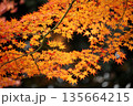 日本の秋　紅葉風景 135664215