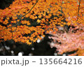 日本の秋　紅葉風景 135664216