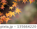 日本の秋　紅葉風景 135664220
