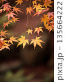 日本の秋　紅葉風景 135664222