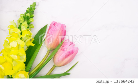 春の花とコピースペースの背景素材 135664242