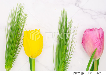 春の花とコピースペースの背景素材 135664248