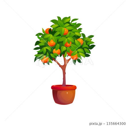 Cartoon Chinese Lunar New Year orange tree in pot symbolizing luck, prosperity and abundance. Vector festive traditional Asian plant icon or game asset with mandarin citrus fruits and green leaves Cartoon Chinese Lunar New Year orange tree in pot symbolizing luck, prosperity and abundance. Vector festive traditional Asian plant icon or game asset with mandarin citrus fruits and green leaves 135664300
