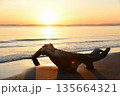 流木と夕景 135664321