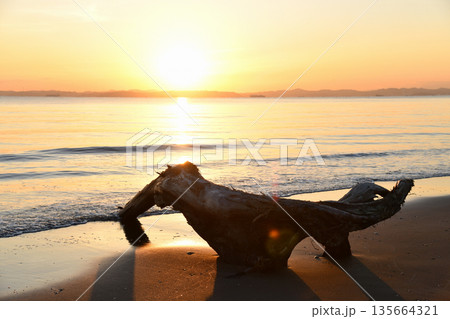 流木と夕景 流木と夕景 135664321