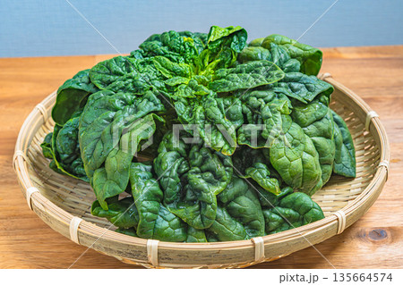 ちぢみほうれん草 135664574