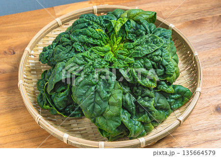 ちぢみほうれん草 ちぢみほうれん草 135664579