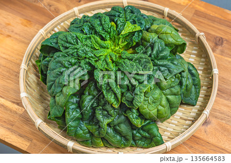 ちぢみほうれん草 135664583