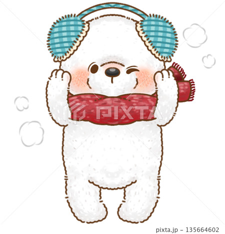 正しい位置で耳当てをするマフラーを巻いたシロクマ 135664602