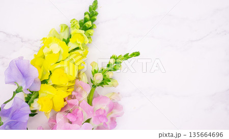 春の花々と大理石のフレーム背景 135664696