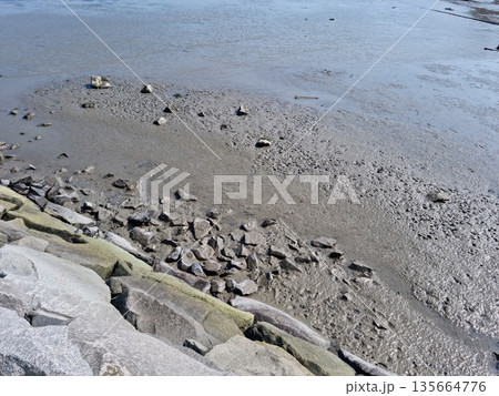 It is a beach with rocky banks and mud. 135664776