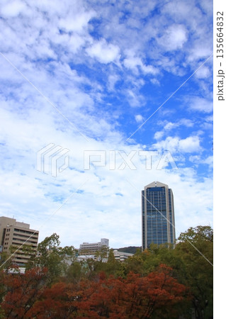 神戸市役所庁舎と周りのビルの秋の風景(縦長) 135664832