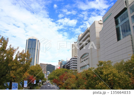 神戸・フラワーロードから見た三宮駅方面の秋の景色(横長) 神戸・フラワーロードから見た三宮駅方面の秋の景色(横長) 135664833