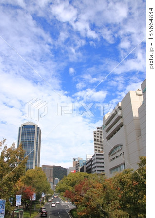 神戸・フラワーロードから見た三宮駅方面の秋の景色(縦長) 135664834