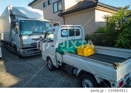 various various 135664911