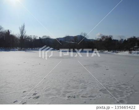 中島公園 菖蒲池 氷 中島公園 菖蒲池 氷 135665422