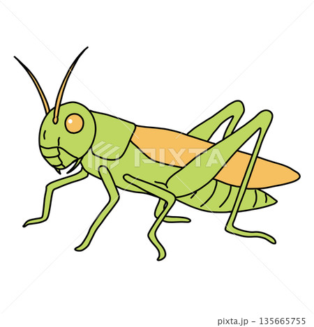 稲子(いなご) 稲子(いなご) 135665755