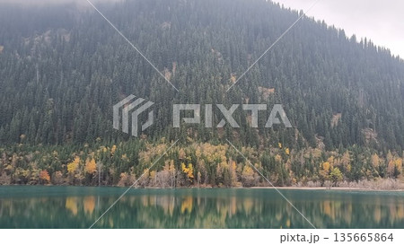 Beautiful Landscape With Lake In The Forest Beautiful Landscape With Lake In The Forest 135665864