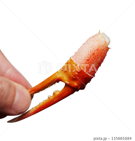 カニのハサミ 135665884