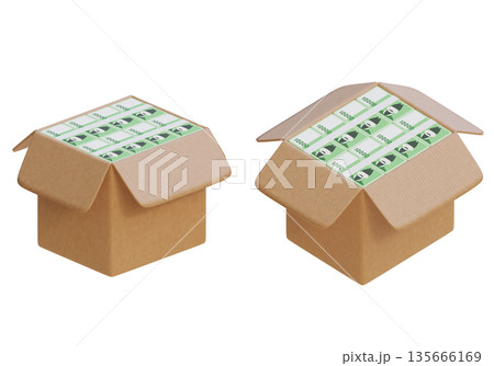 Delivery Box Full of Stacks of Korean 10,000 Won Bills, High Angle 3D Render 135666169