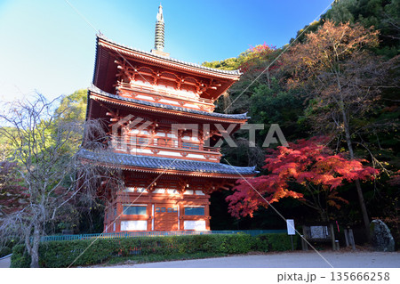 清水寺の紅葉 清水寺の紅葉 135666258