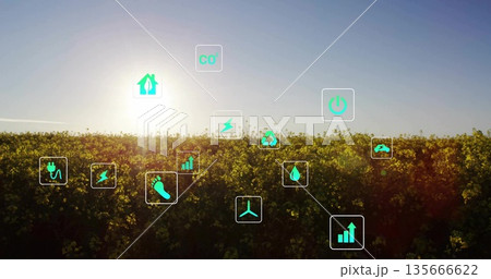 Floating icons showing renewable energy above rapeseed field at dawn symbolizing sustainability Floating icons showing renewable energy above rapeseed field at dawn symbolizing sustainability 135666622