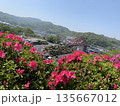 咲きかけのつつじと音戸大橋 135667012