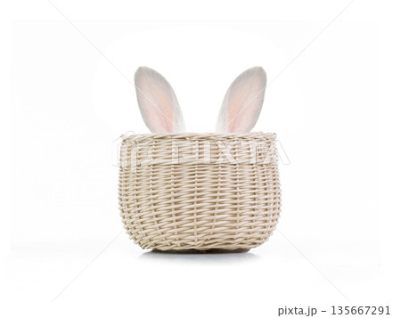 Easter bunny hiding in basket isolated on white background Easter bunny hiding in basket isolated on white background 135667291