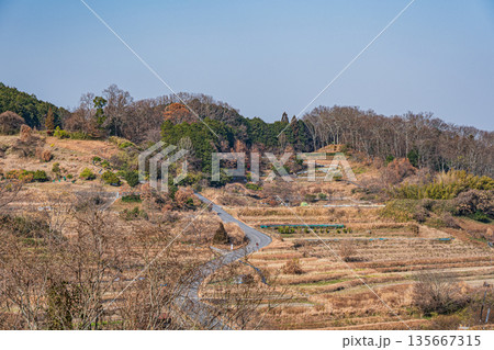 明日香村稲渕の棚田冬景色　日本の棚田百選　奈良県 135667315