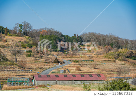 明日香村稲渕の棚田冬景色　日本の棚田百選　奈良県 135667318