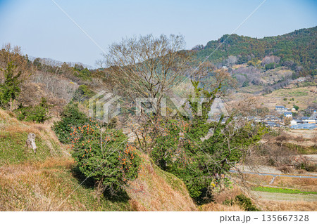 明日香村稲渕の棚田冬景色　日本の棚田百選　奈良県 135667328