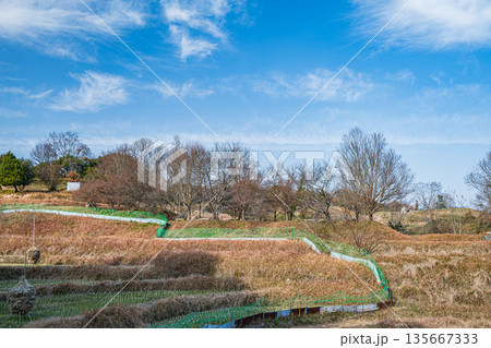 明日香村稲渕の棚田冬景色 日本の棚田百選 奈良県 明日香村稲渕の棚田冬景色 日本の棚田百選 奈良県 135667333